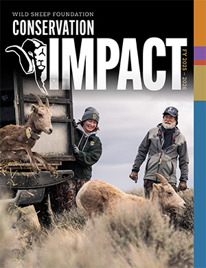 Conservation Impact FY 25-26